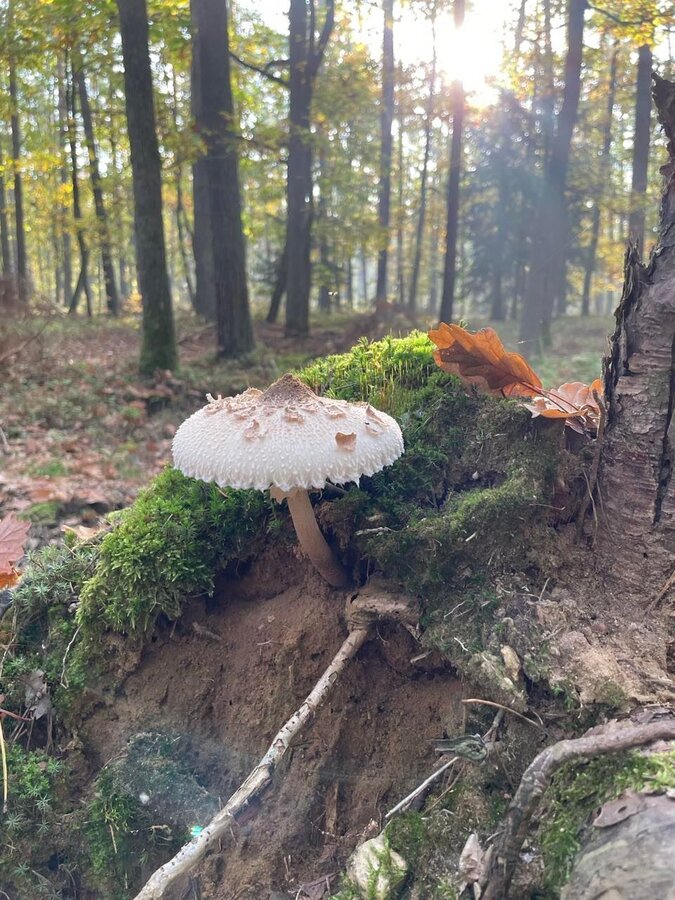 Gminne podsumowanie akcji 