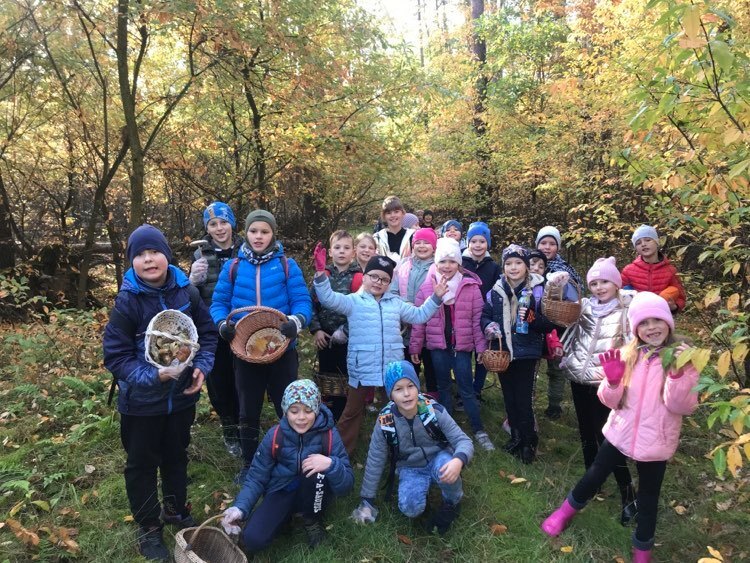 Wycieczka do lasu